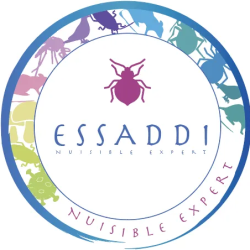Logo footer Essaddi Nuisible Expert - Porrentruy Suisse